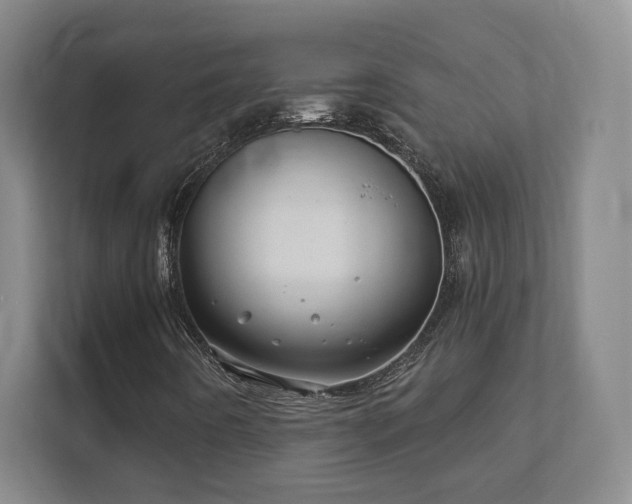 X0000112391442200908201533