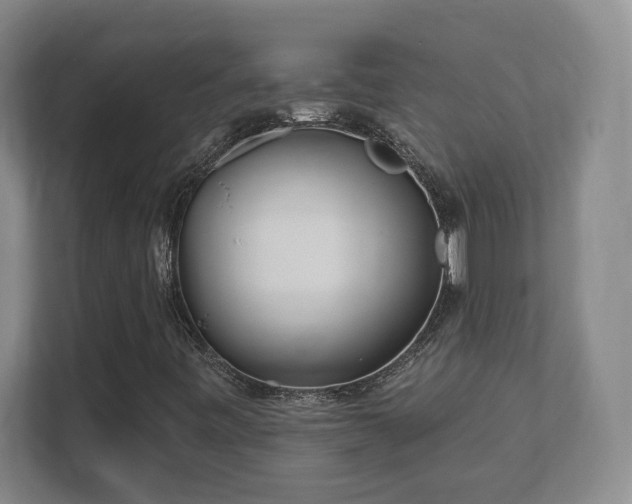 X0000112391443200908201533