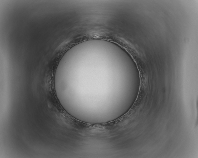 X0000112391446200908201533