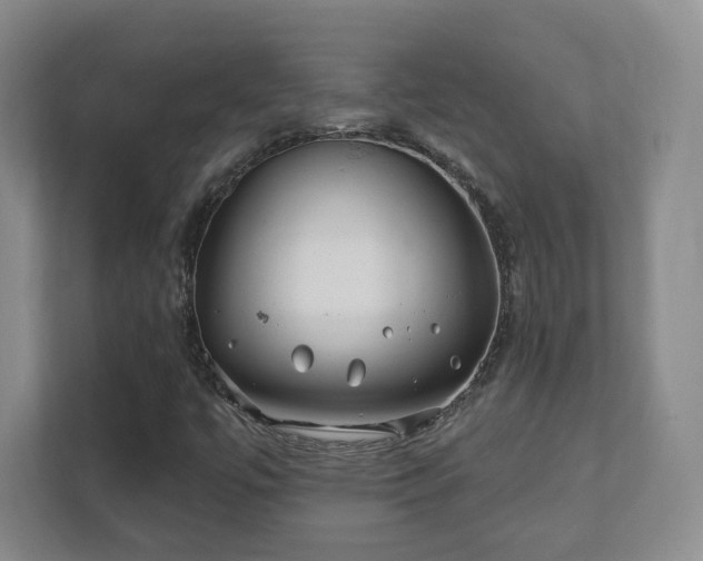 X0000112391447200908201533