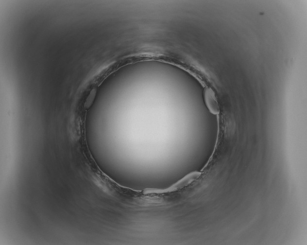 X0000112391448200908201533