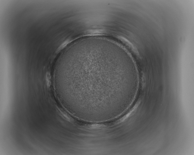 X0000112391449200908201533