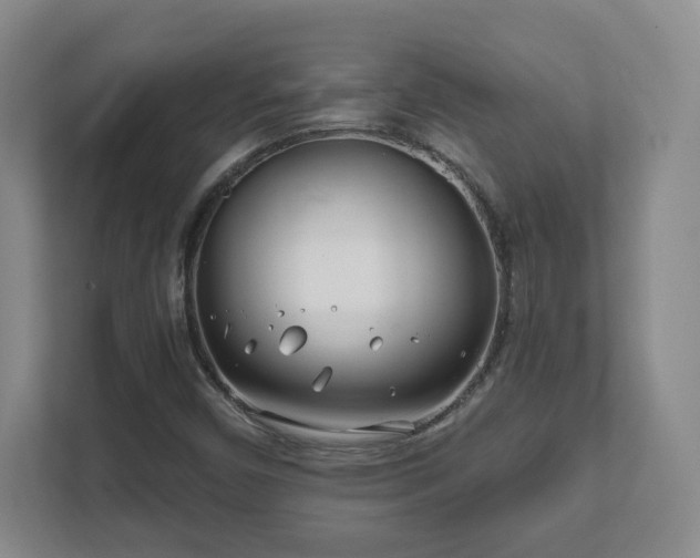 X0000112391450200908201533