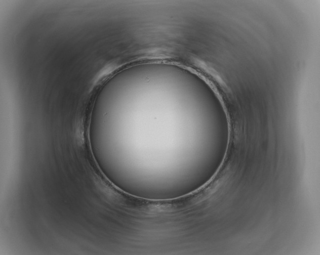 X0000112391451200908201533