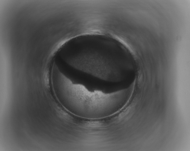 X0000112391455200908201532