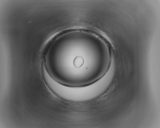 X0000112391456200908201532