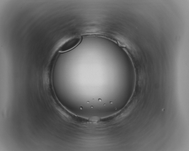 X0000112391458200908201532