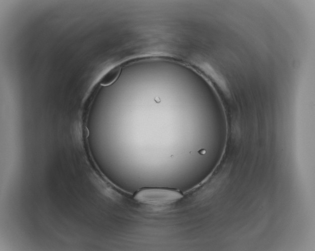 X0000112391460200908201532