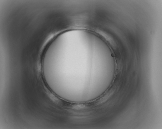 X0000112391462200908201532