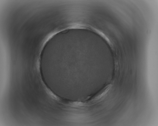 X0000112391463200908201532