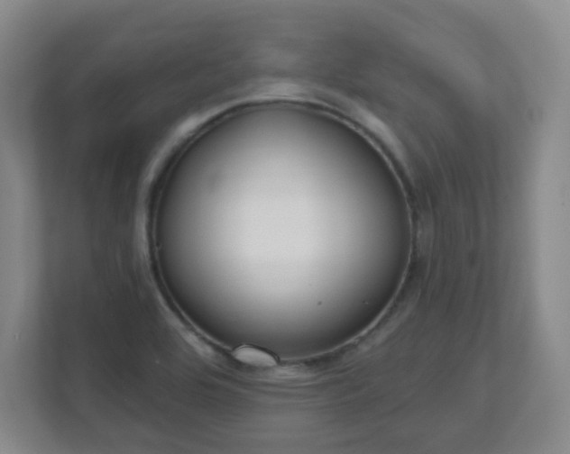 X0000112391464200908201532