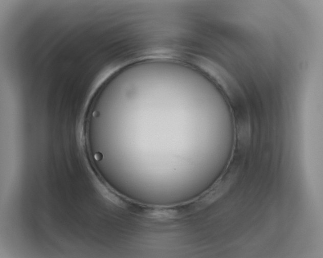 X0000112391466200908201532