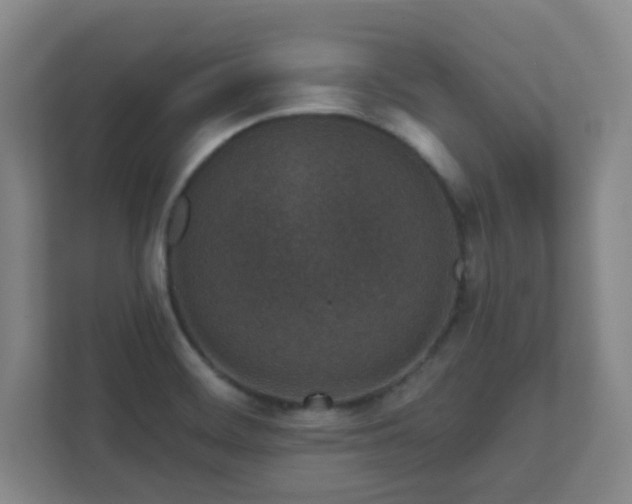 X0000112391468200908201532