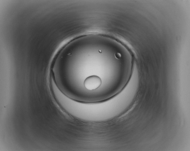 X0000112391469200908201532