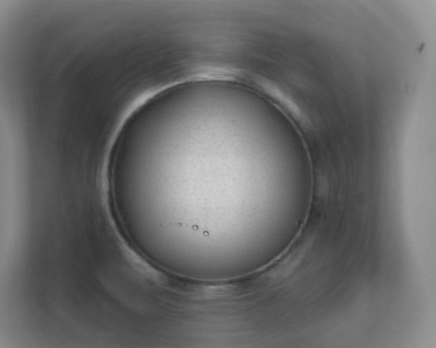 X0000112391471200908201532