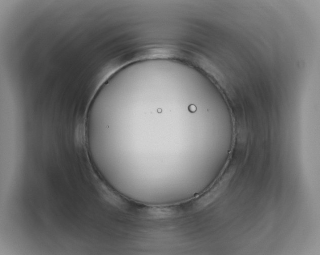 X0000112391473200908201532