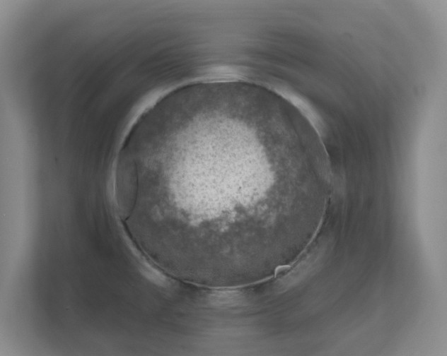 X0000112391477200908201532