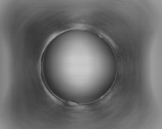 X0000112391479200908201532