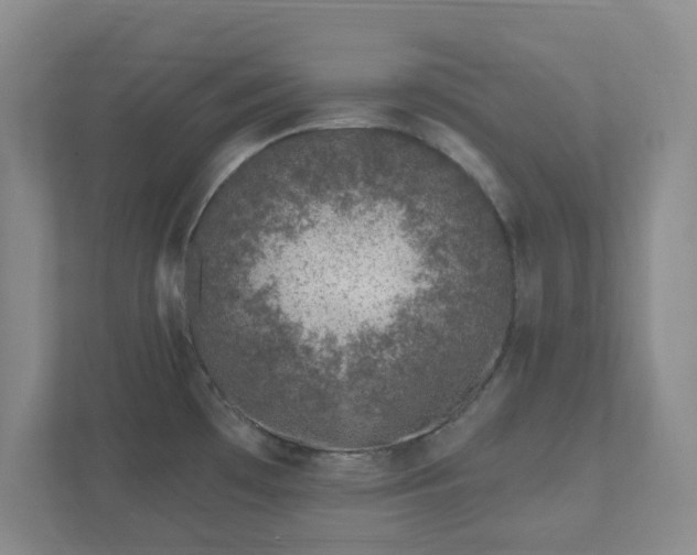 X0000112391481200908201532