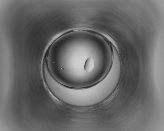 X0000112391485200908201532