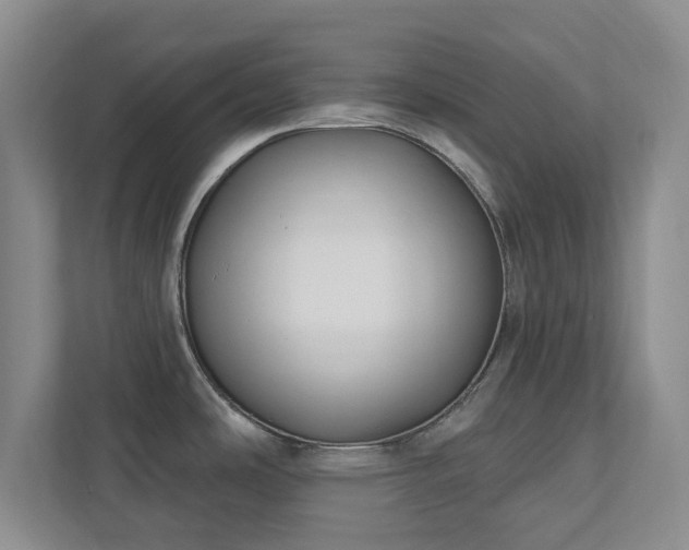 X0000112391486200908201532