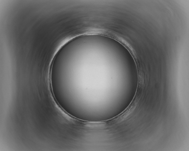 X0000112391487200908201532