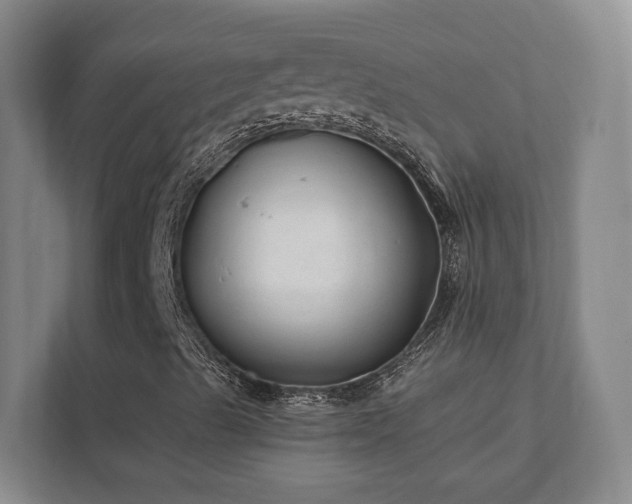 X0000112391489200908201531