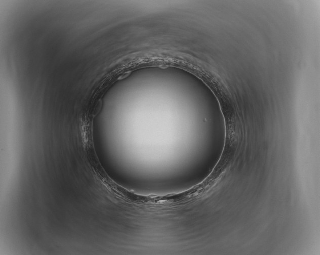 X0000112391490200908201531