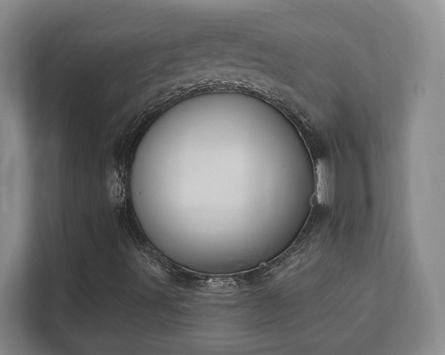 X0000112391491200908201531