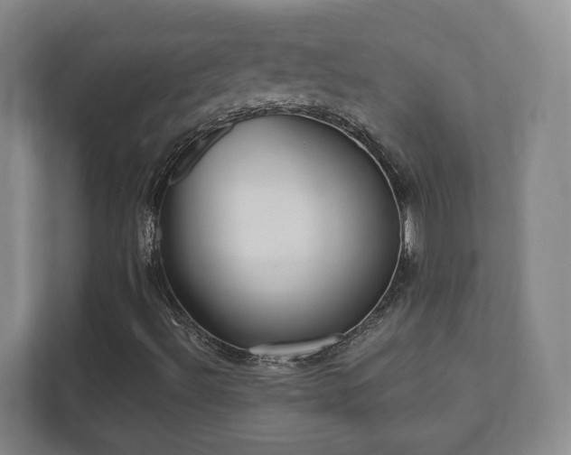 X0000112391492200908201531