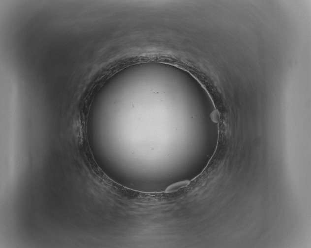 X0000112391493200908201531