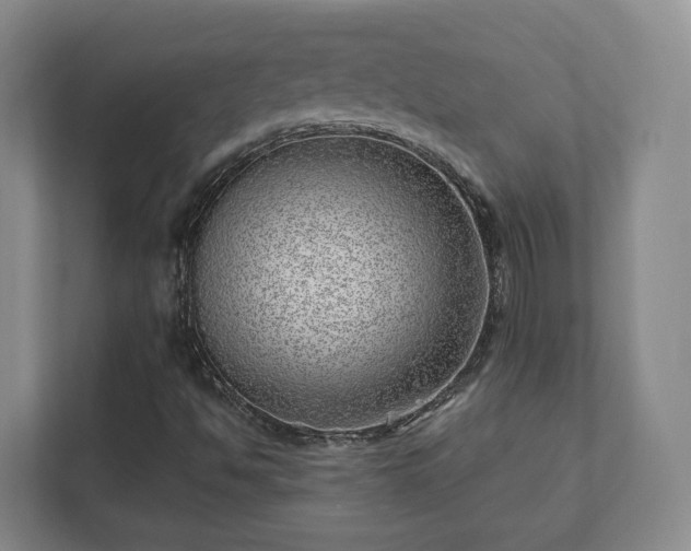 X0000112391494200908201531