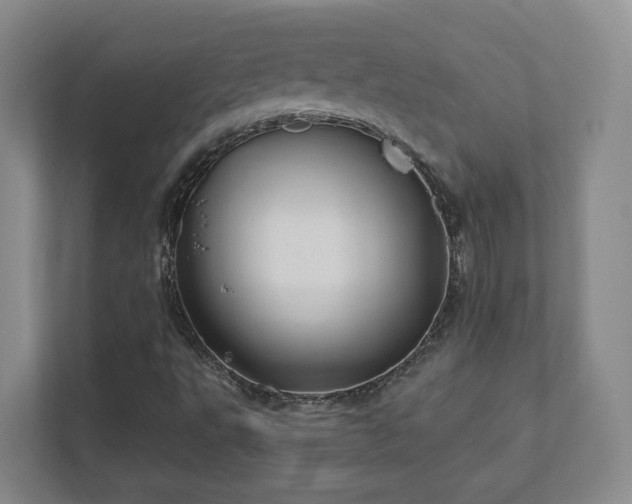 X0000112391495200908201531