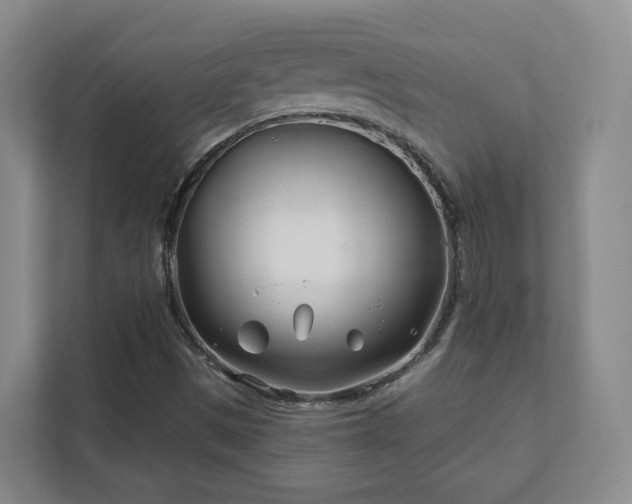 X0000112391497200908201532