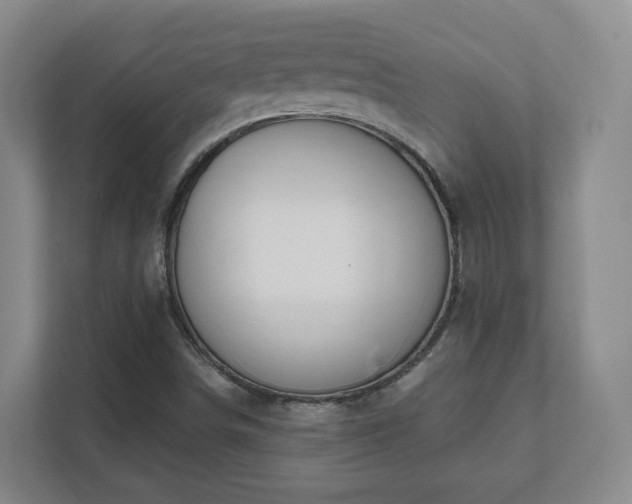 X0000112391498200908201532