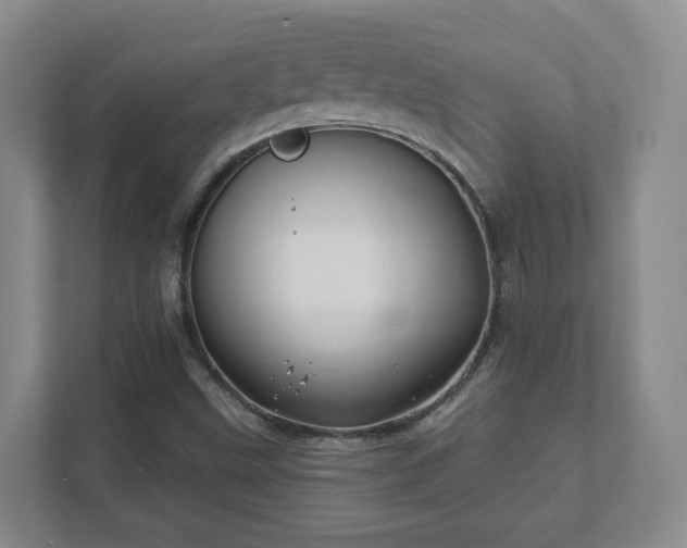 X0000112391499200908201532