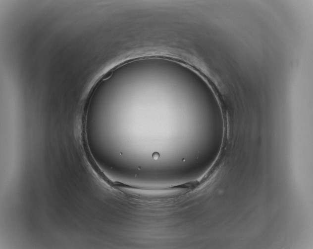 X0000112391500200908201532