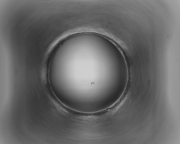 X0000112391502200908201532