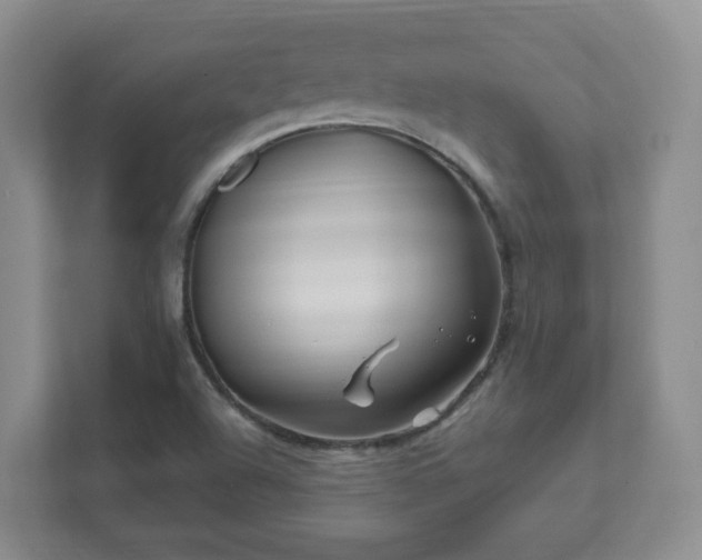 X0000112391504200908201532