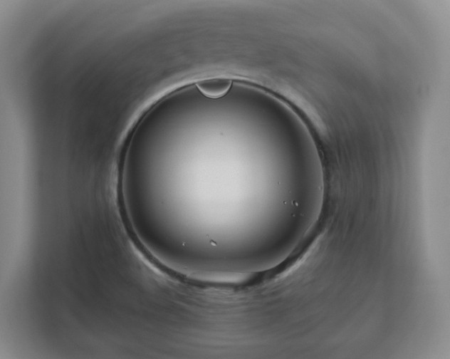 X0000112391508200908201532