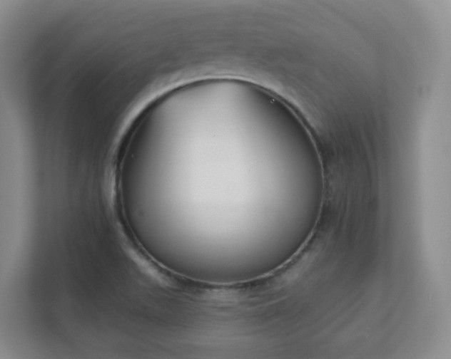 X0000112391511200908201532