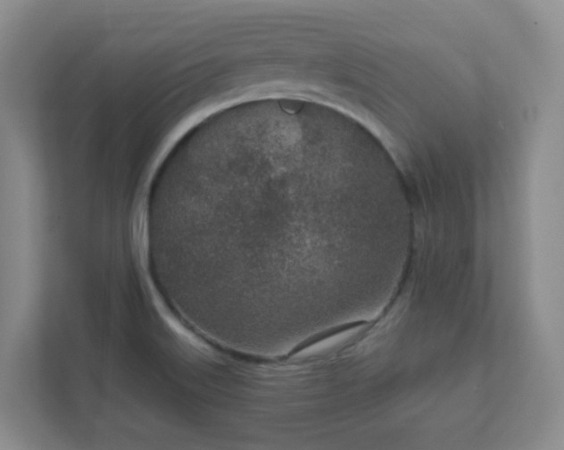 X0000112391515200908201532