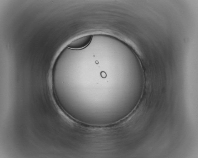 X0000112391516200908201532