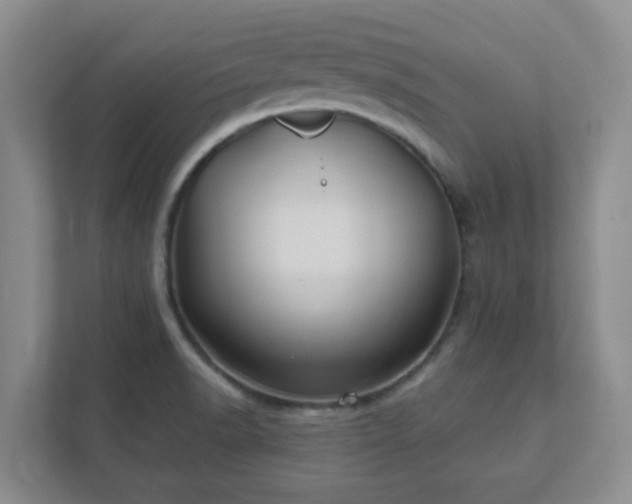 X0000112391518200908201532