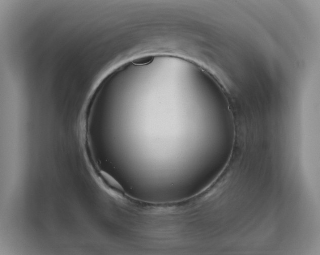 X0000112391519200908201532