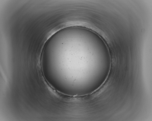 X0000112391521200908201532