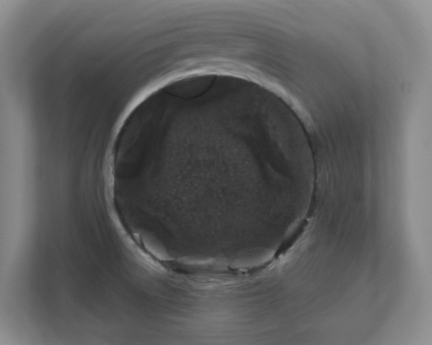 X0000112391522200908201532