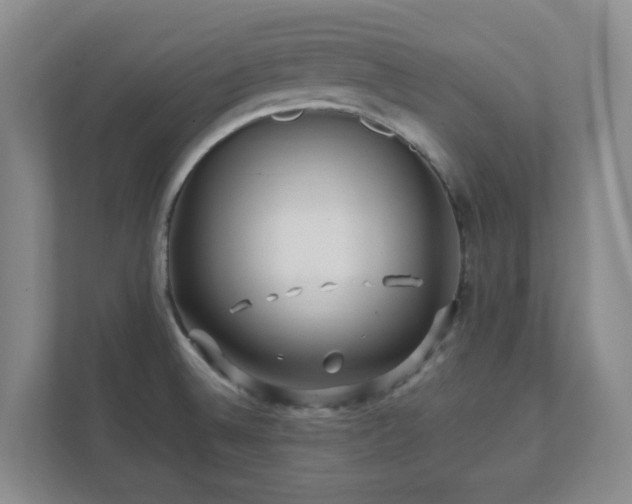 X0000112391524200908201532