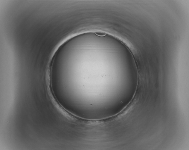 X0000112391526200908201532