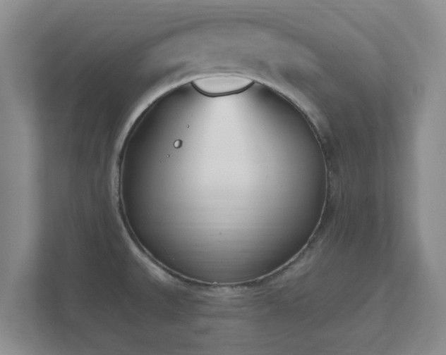 X0000112391527200908201532